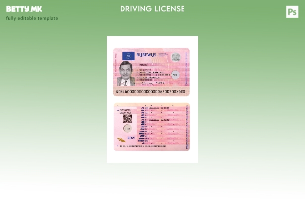 Модерен стил присутен шаблон за холандска возачка дозвола